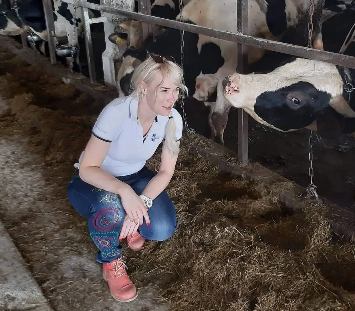 Kaja Piirfeldt lehmadega