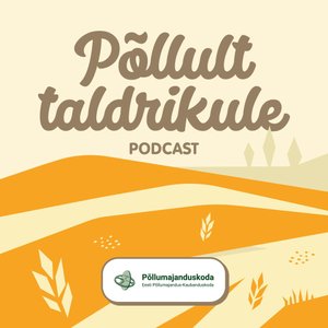 P&otilde;llult taldrikule taskuh&auml;&auml;lingu tunnuspilt