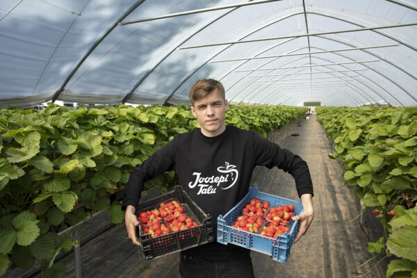 Ranet Roositalu maasikatega