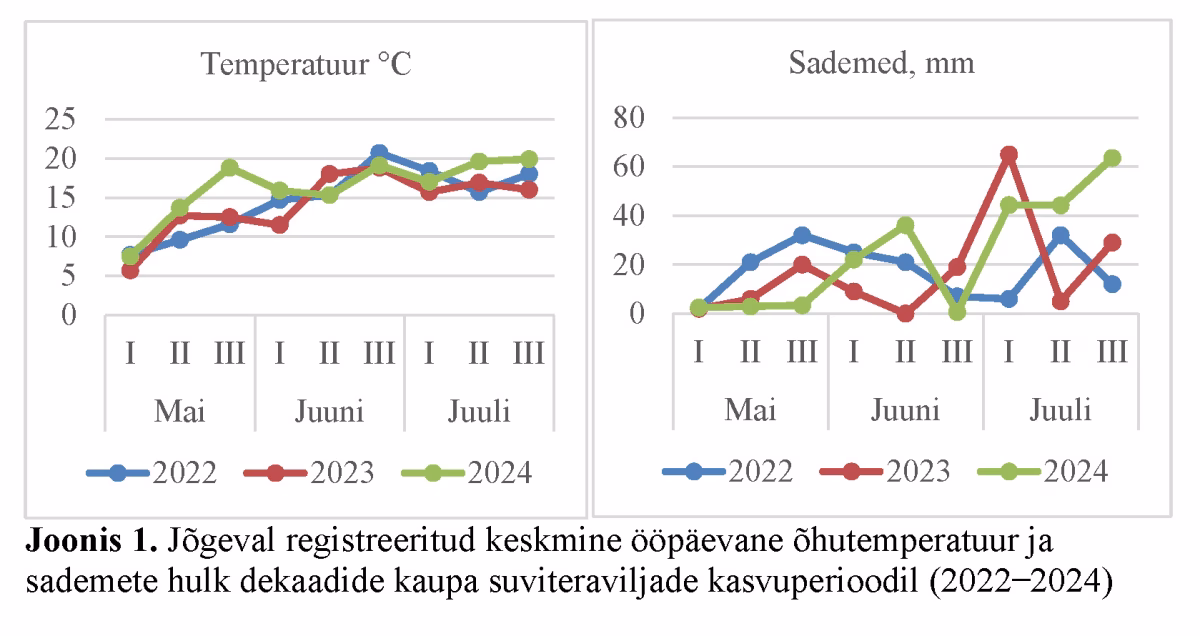 Pille Soov&auml;li joonis 1