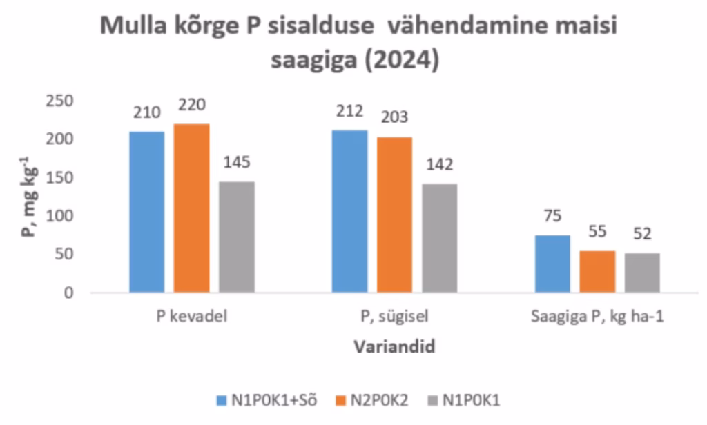 Joonis: Mulla kõrge P sisalduse vähendamine maisi saagiga. Foto: METK