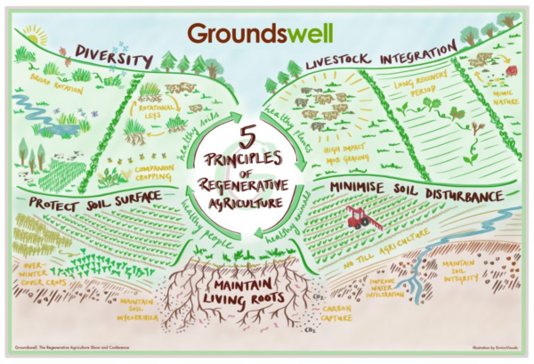 Groundwell