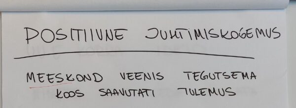 positiivne juhtimiskogemus, n&auml;ide