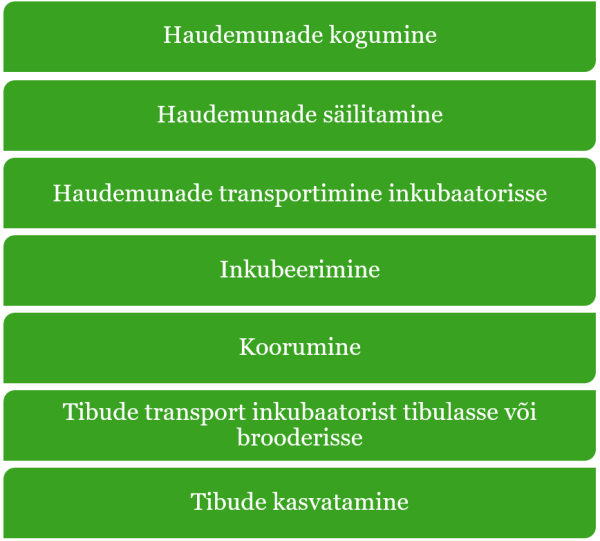 Vuttide taastootmine