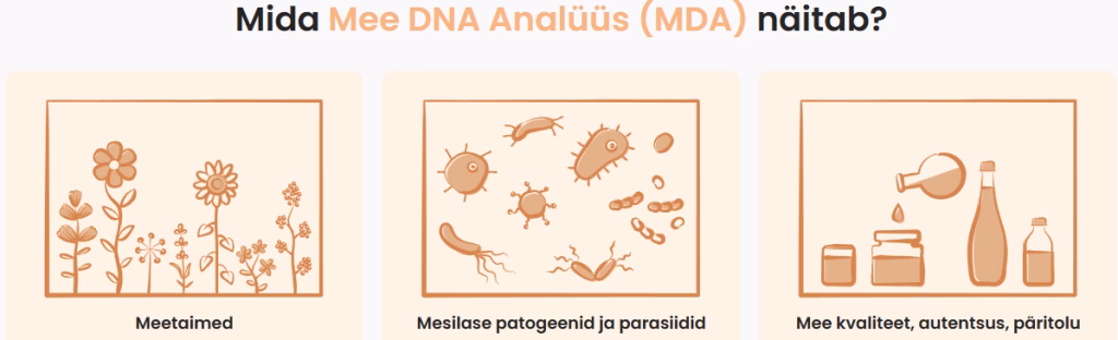 Mee DNA analüüs