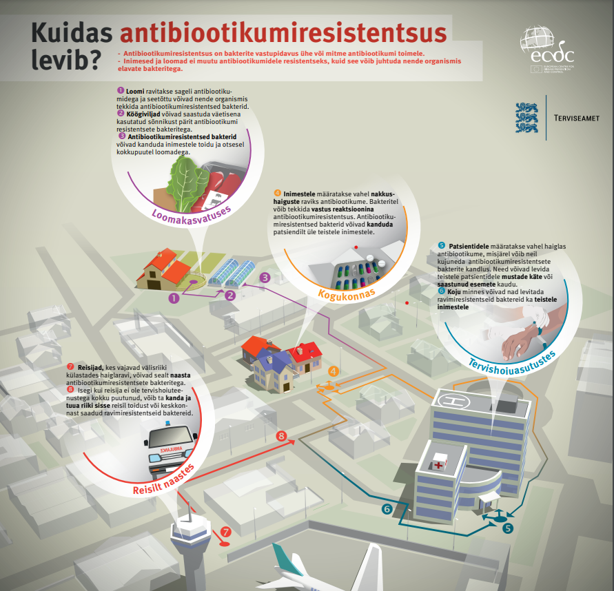kuidas antibiootikumiresistentsus levib, plakat