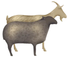 Eesti Lamba- ja Kitsekasvatajate Liit logo