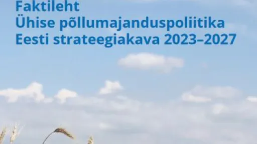 CAP faktileht