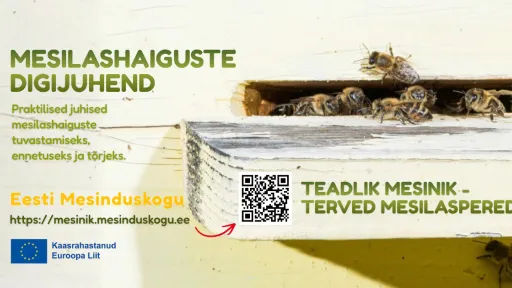 mesilashaigused