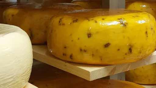 Juustud laagerdumas