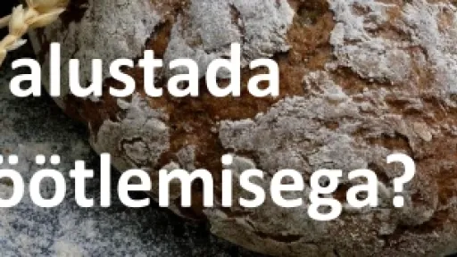 Kuidas_alustada_mahet&ouml;&ouml;tlemisega