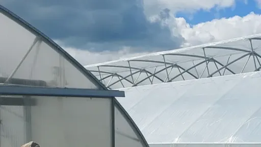 kasvuhoone katus