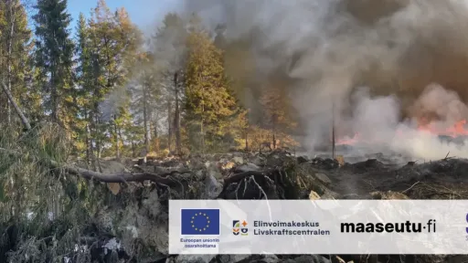 metsap&otilde;leng ja logod