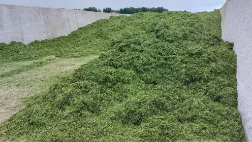 silohoidla pooleli