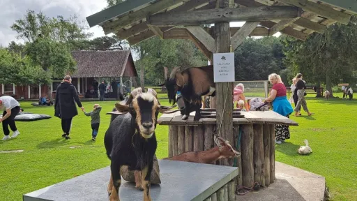 L&otilde;uka hobitalu_foto_Heili S&otilde;rmus