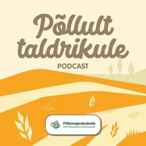 P&otilde;llult taldrikule taskuh&auml;&auml;lingu tunnuspilt