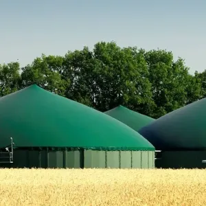 Biogaasijaam K&auml;rt Kanger tunnuspilt