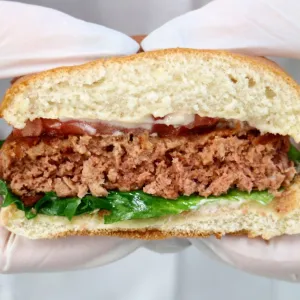 Burger herne- ja kaeravalgust taimse pihviga