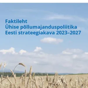CAP faktileht