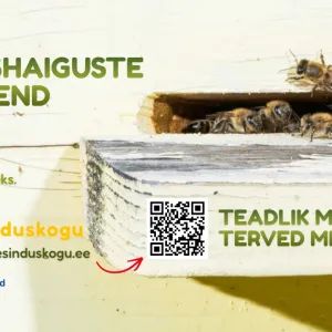 mesilashaigused