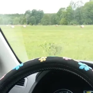 Juhtimine rooliga