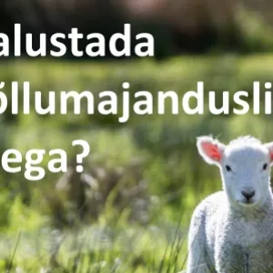 Kuidas alustada mahepollumajandusliku tootmisega Allikas infomaterjal.avif