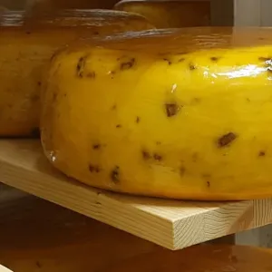 Juustud laagerdumas