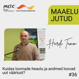Kaanefoto 