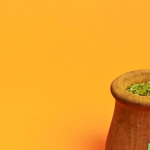 Mate tee