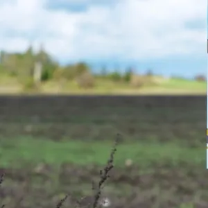 Muudame p&otilde;llu elurikkaks