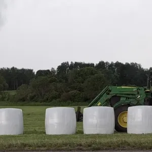 Siloruloonid tee &auml;&auml;res