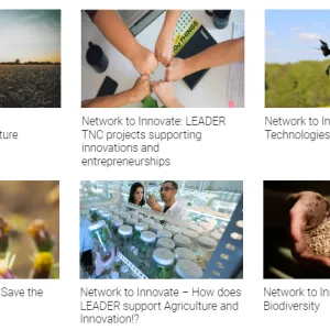 networktoinnovate_topics
