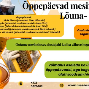 Kaanefoto