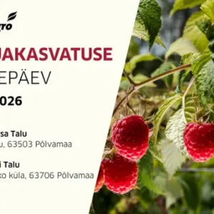 marjap&auml;ev Baltic