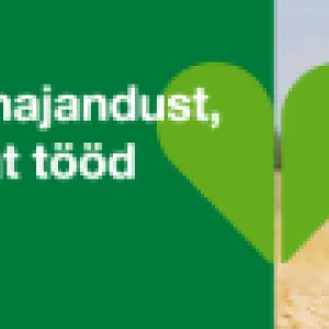 BASF v&auml;&auml;rtused