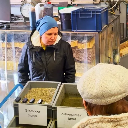 Taani &otilde;ppereis Arhusi &uuml;likoolis