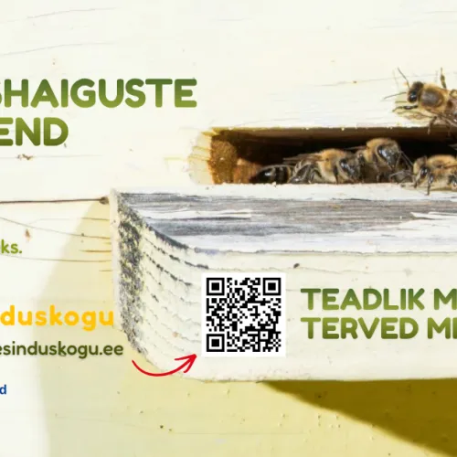 mesilashaigused