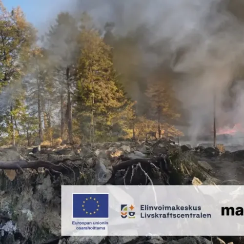 metsap&otilde;leng ja logod