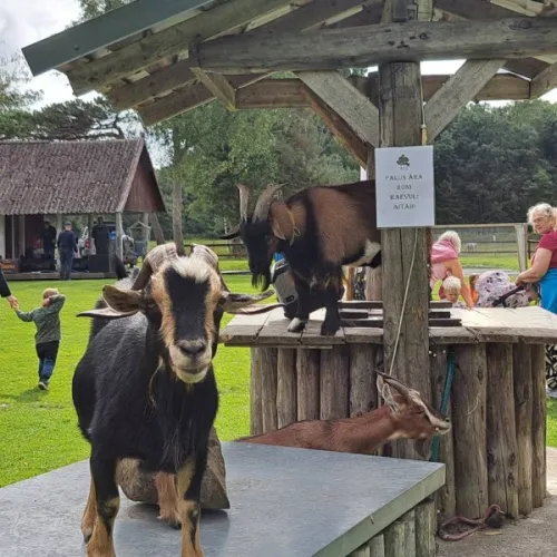 L&otilde;uka hobitalu_foto_Heili S&otilde;rmus