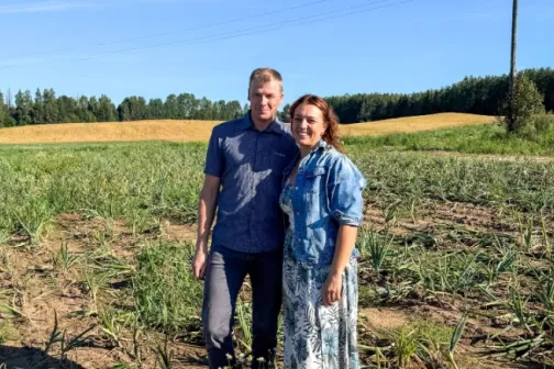 Vaike ja Rainer Soosaar sibulap&otilde;ldude taustal