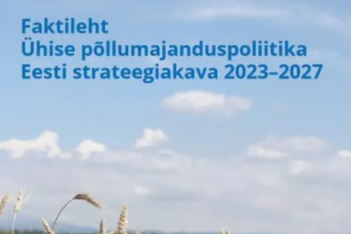 CAP faktileht