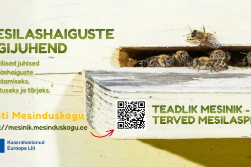 mesilashaigused