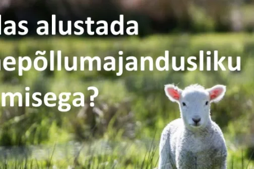 Kuidas alustada mahepollumajandusliku tootmisega Allikas infomaterjal.avif