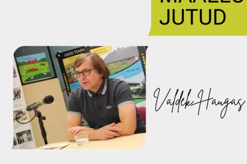Kaanefoto 