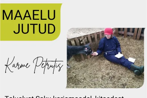 Kaanefoto 