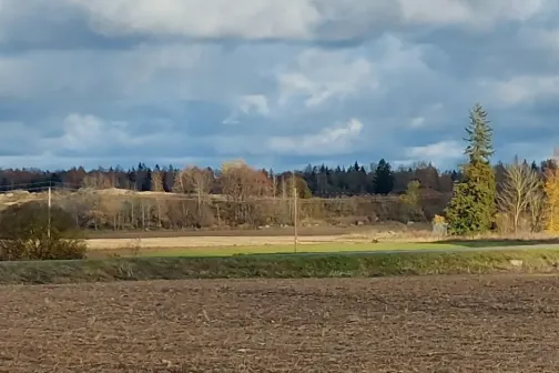 Talumaja p&otilde;ldude vahel