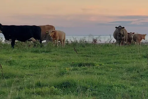 toit_agroturism_tunnuspilt