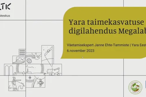 Kaanefoto