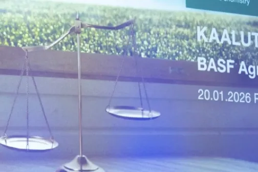 Kaalud
