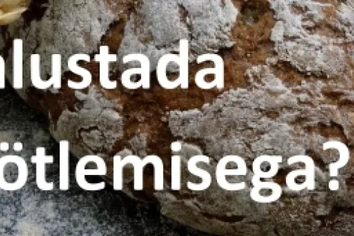 Kuidas_alustada_mahet&ouml;&ouml;tlemisega